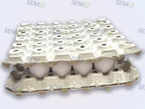 Verpackungen für Eier Cargo Top TA