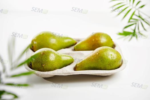Tray for pears with 4 compartments