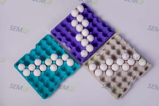Eggs tray 20 ТА