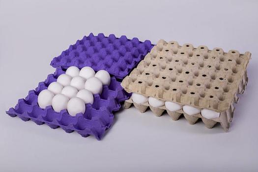 Eggs tray Cargo TA