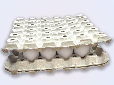 Eggs tray Cargo Top TA