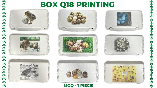 Q BOX 18 con impresión