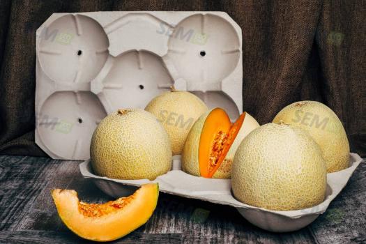 Emballage pour melons 400x300
