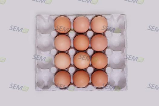 Confezione famiglia con vassoio per uova