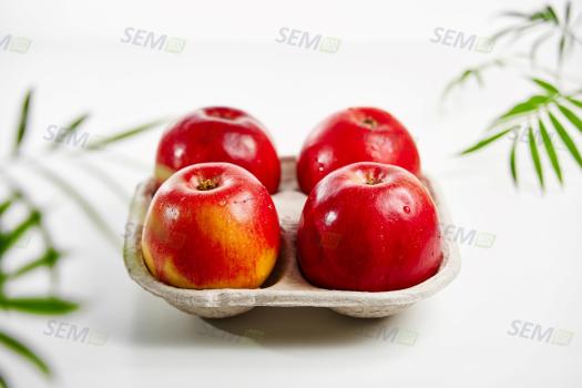 Vassoio di frutta №4