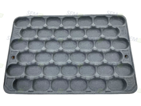 Vassoio kiwi 600x400