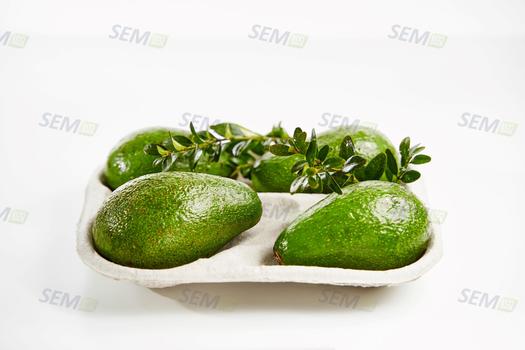 Tacka z awokado nr 4