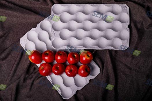 Tacki na jabłka niky 480x285